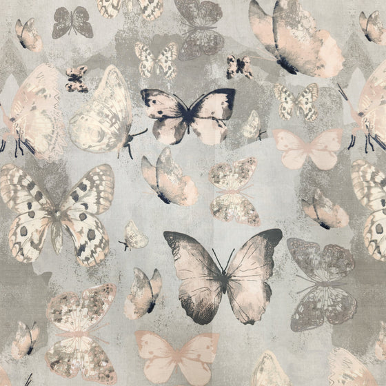 100% Cotton Sheeting 100" - Giant Butterflies, Grey
