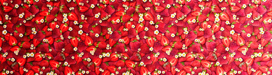 QT Fabrics - Fresh, Strawberry Ombre