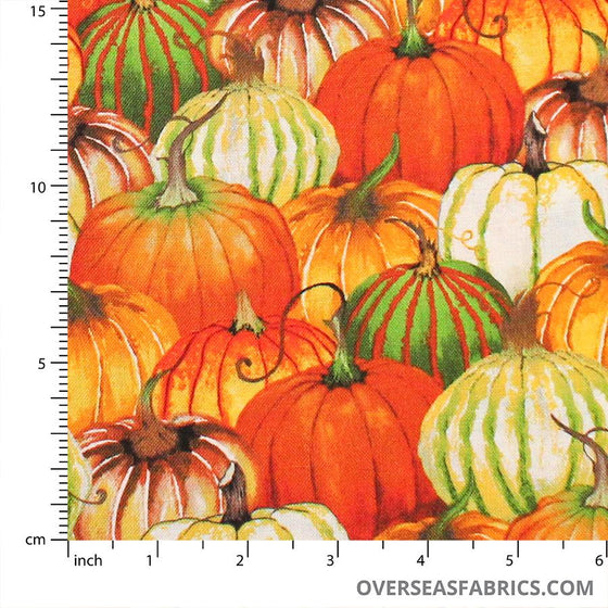 Blank Quilting - Fall Delight, Pumpkin Collage, Orange