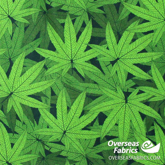 Blank Quilting - Herban Sprawl, Cannabis Leaf Allover, Green