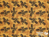 ITEX - Thunderbirds by Linda Lavallee (Cree Nisga'a), Yello