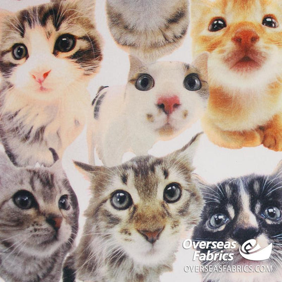 Printed Fleece 60" - Derpy Selfie Cats, White