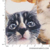 Printed Fleece 60" - Derpy Selfie Cats, White