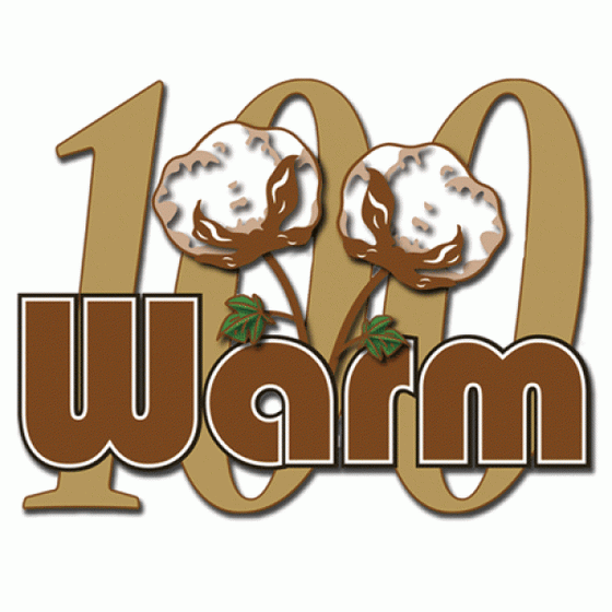 Warm Company - Warm 100 Batting, 110" wide