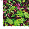 Windham Fabrics - A La Carte, Salad Lettuce